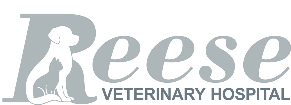 Reese Veterinary Hospital in Thomson, GA | Veterinary Care